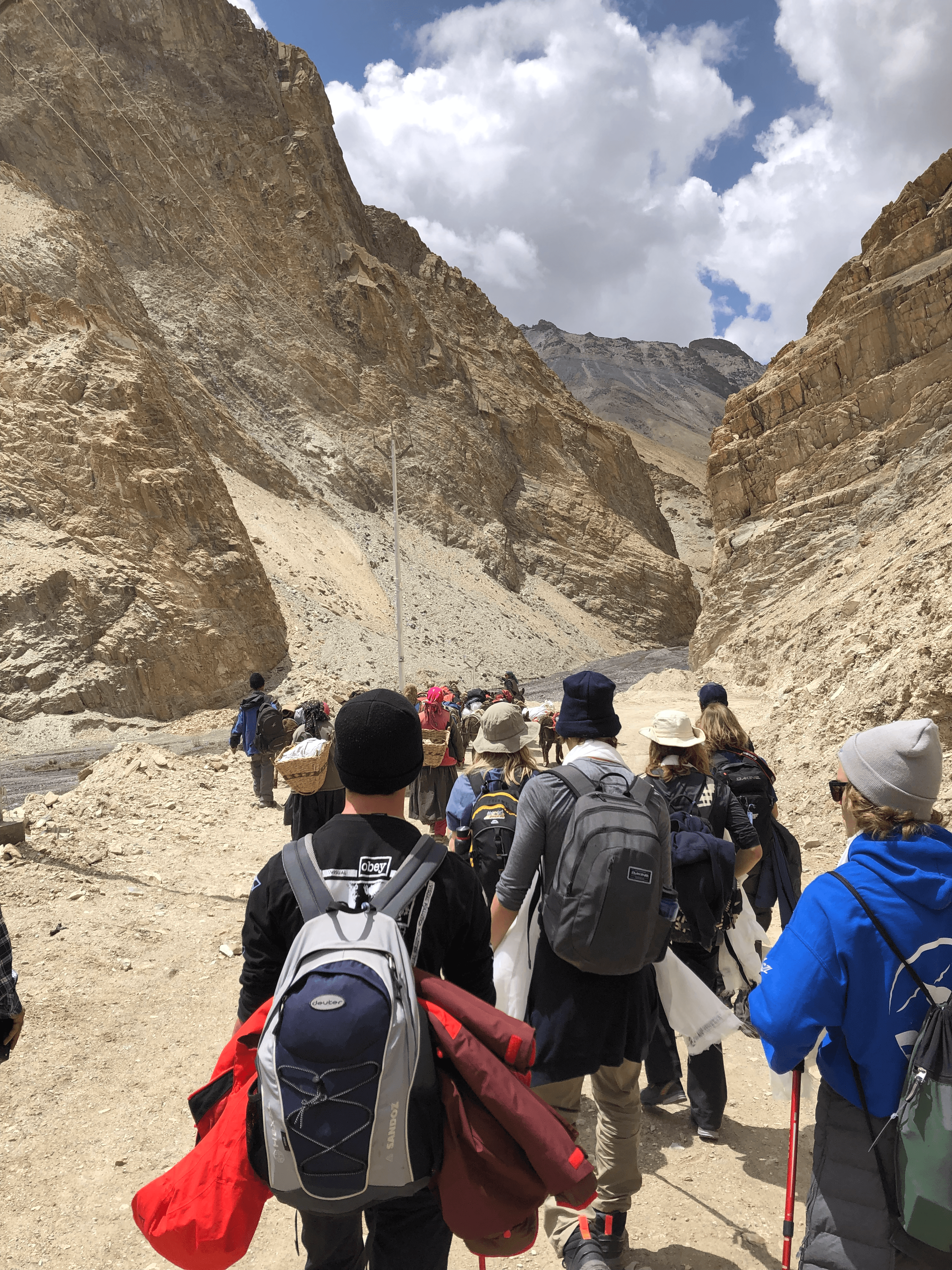 Eco-friendly transportation