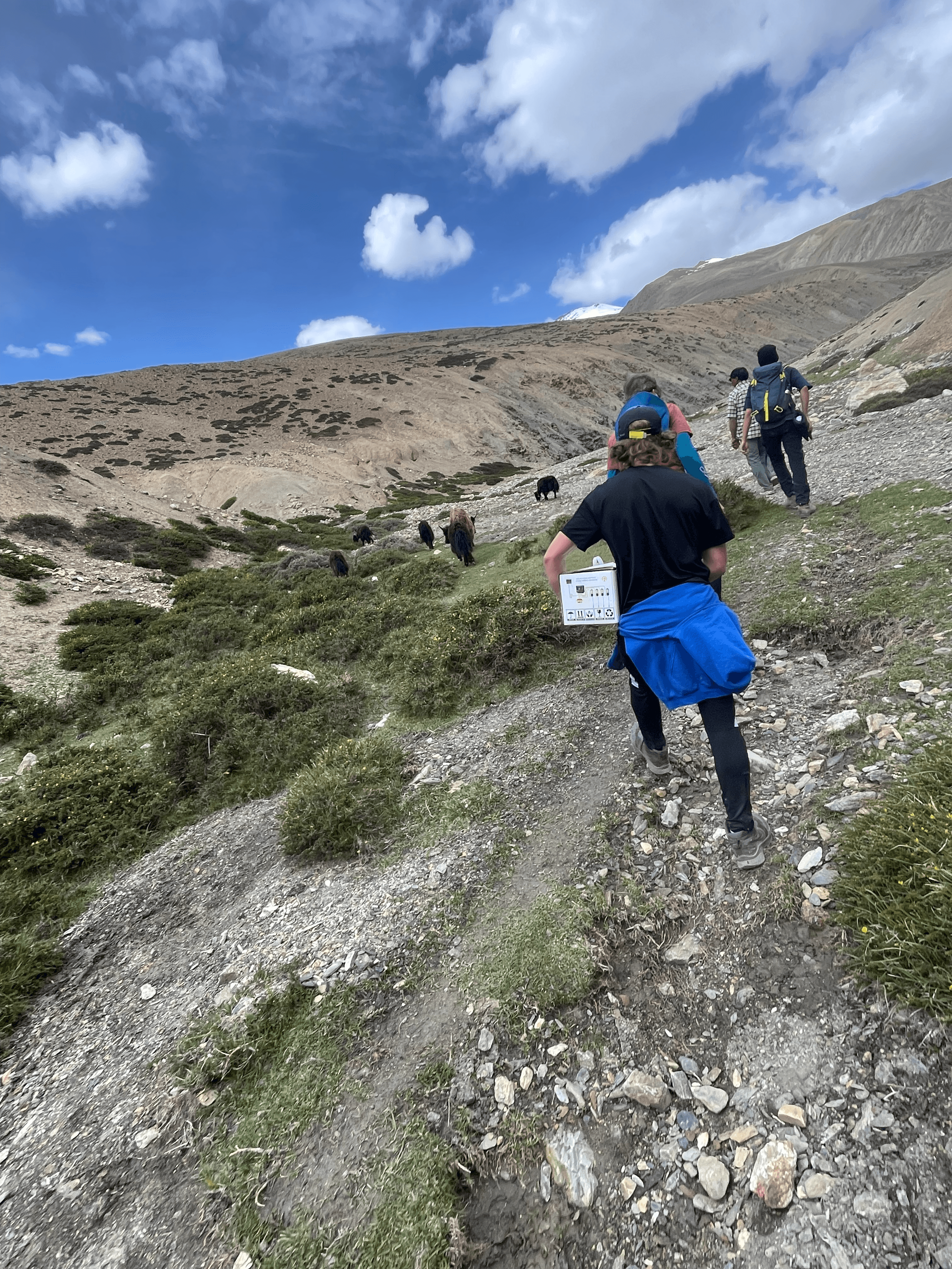 Renewable energy installation